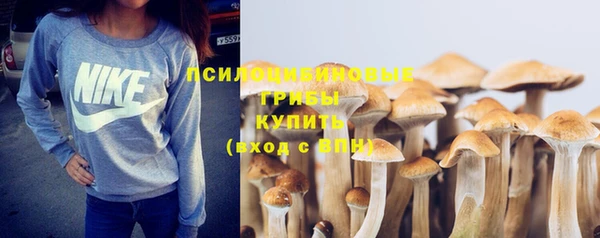 молекула духа Белокуриха