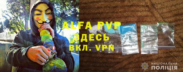 молекула духа Белокуриха