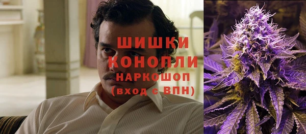 сатива Приозерск