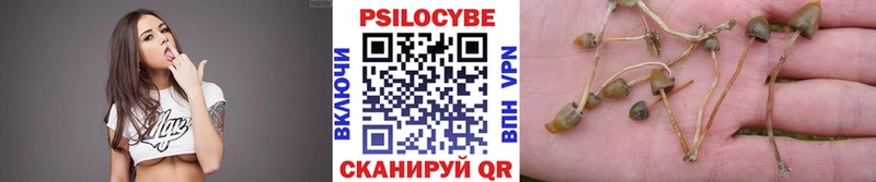 Псилоцибиновые грибы ЛСД  сколько стоит  Ленинградская 